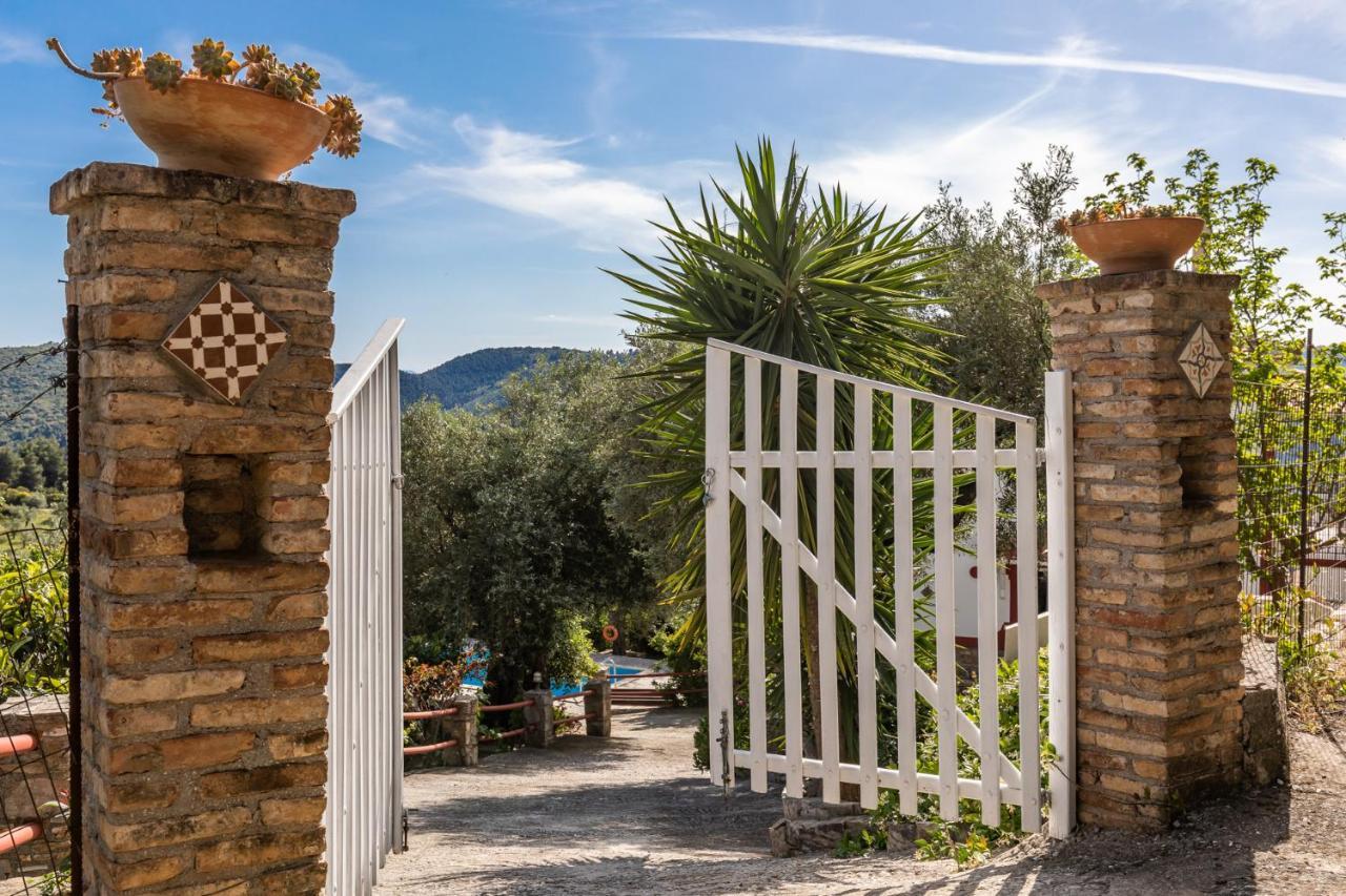 Villa Agia Marina Skopelos Town Exterior photo